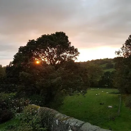 Nook Farm