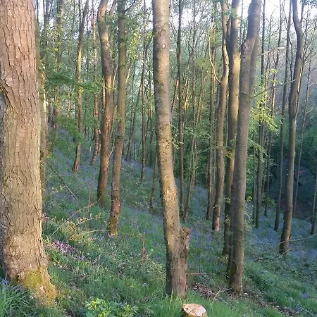 Nook Farm Nyaraló *